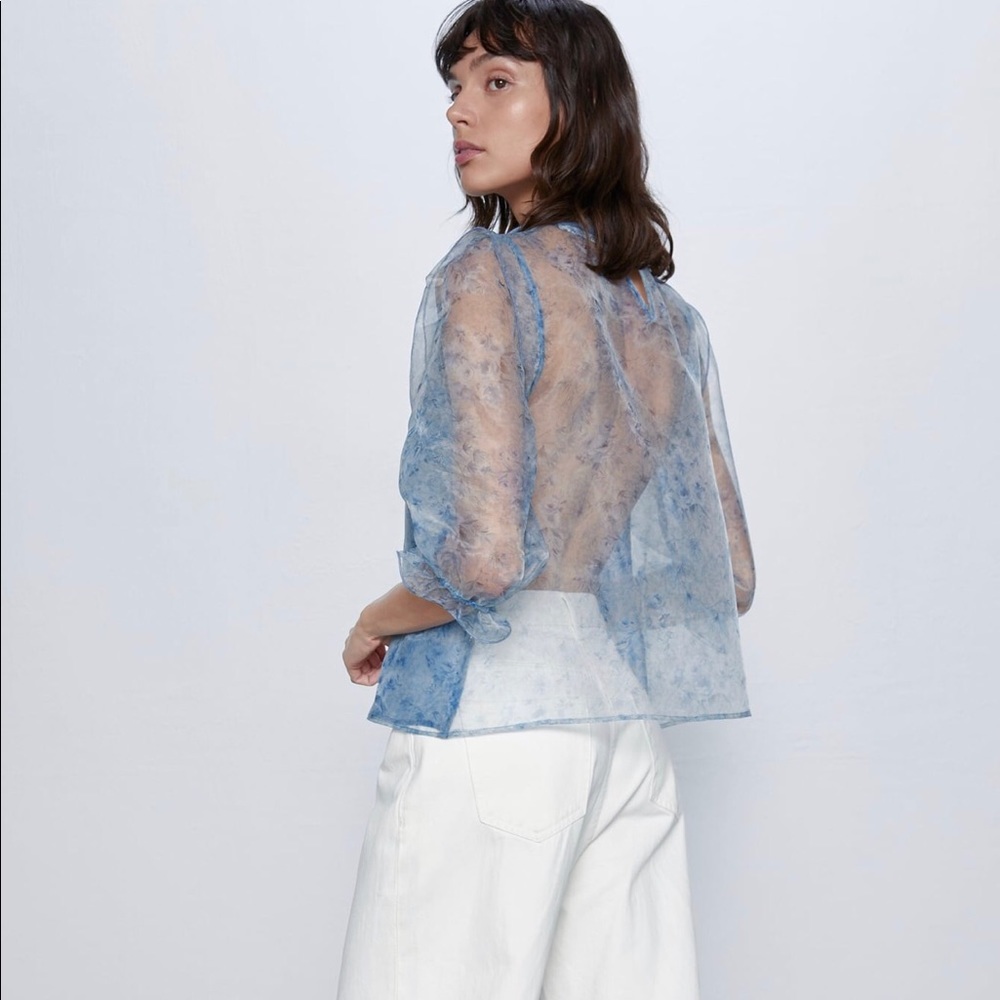Zara Organza Top